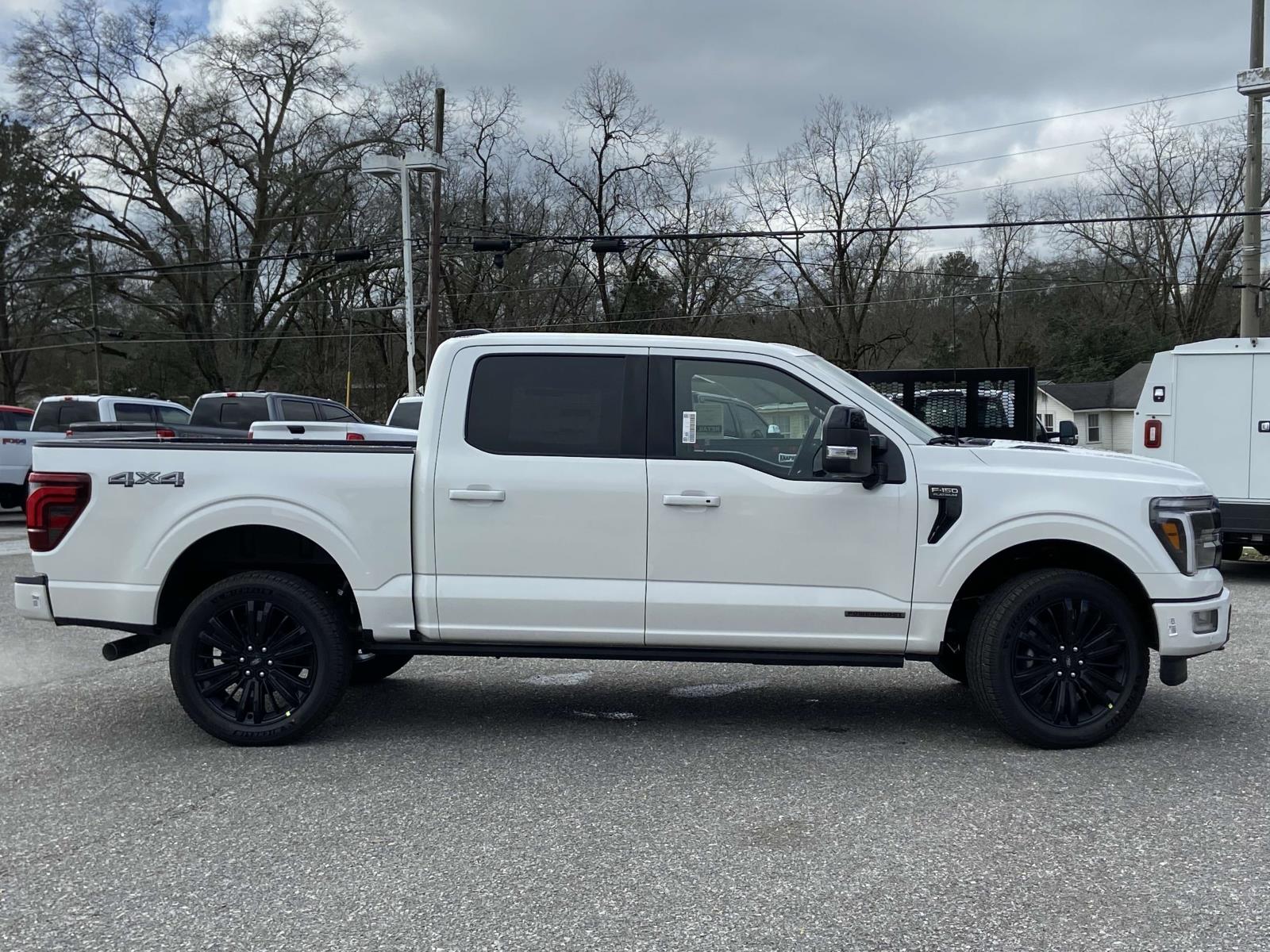 2025 Ford F-150 Platinum photo 2