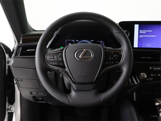 2025 Lexus ES 300h photo 20