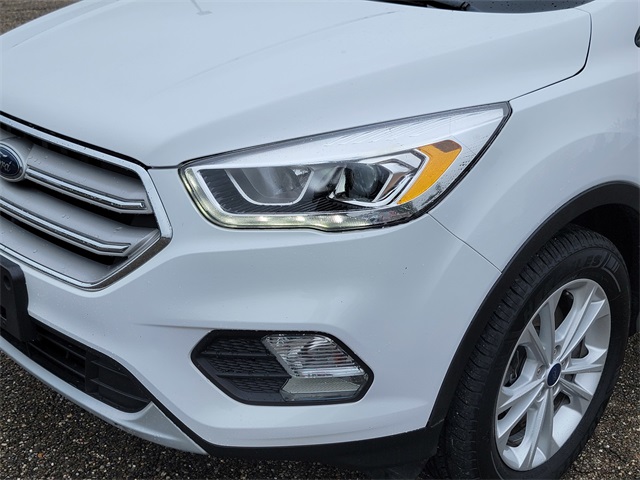 2019 Ford Escape SEL photo 11
