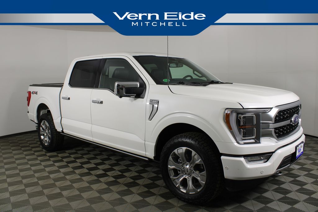 2022 Ford F-150 Platinum's photo