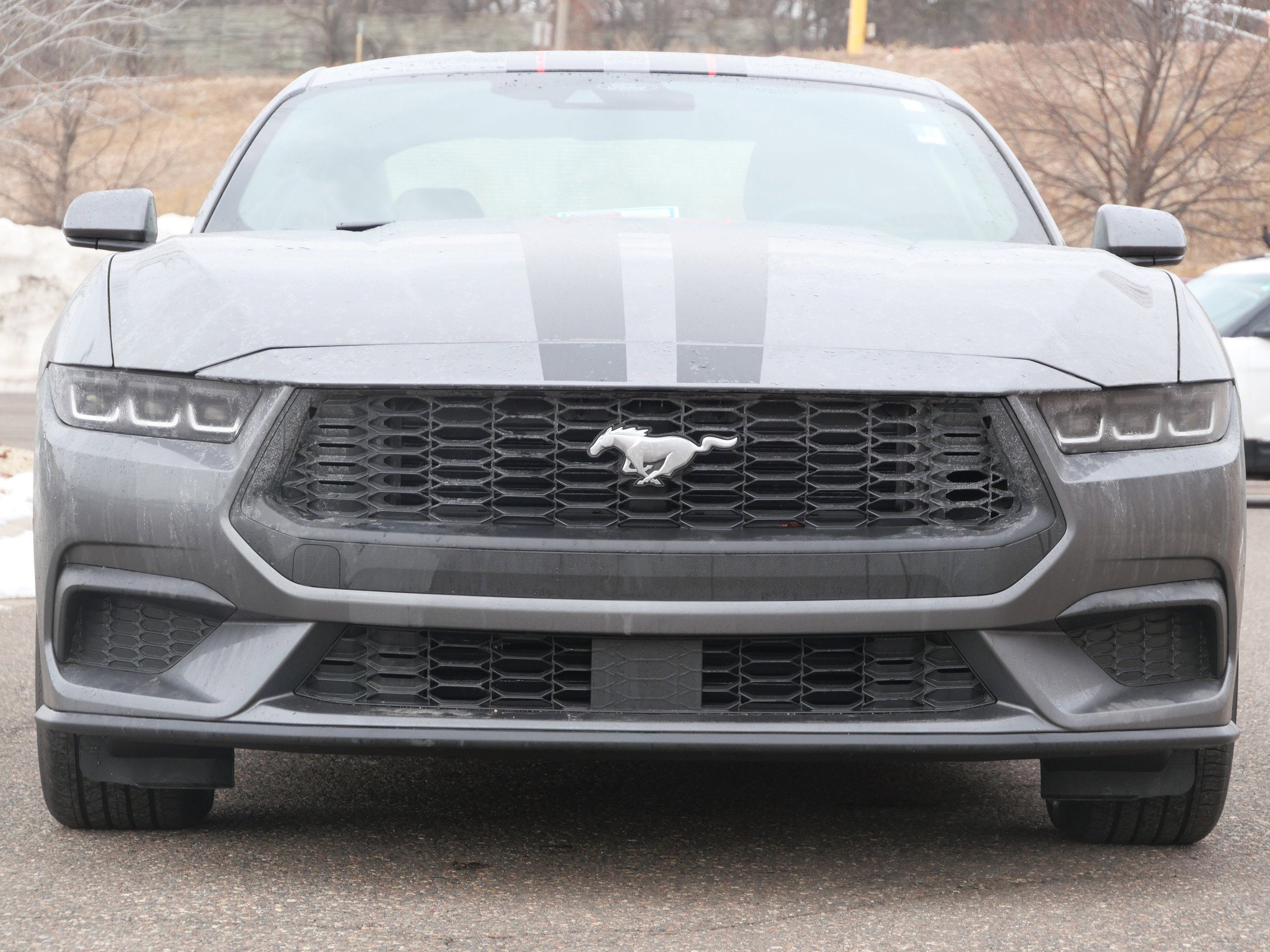 Used 2025 Ford Mustang EcoBoost Premium with VIN 1FA6P8TH8S5103295 for sale in Eden Prairie, Minnesota