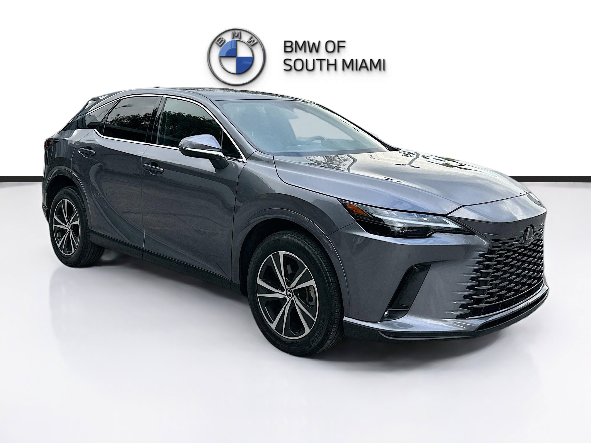2023 Lexus RX 350's photo