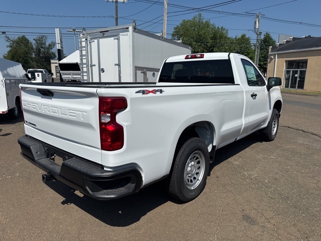 2025 Chevrolet Silverado 1500 photo 3