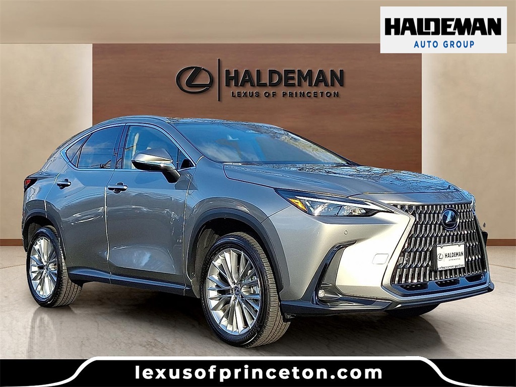 2025 Lexus NX 350's photo