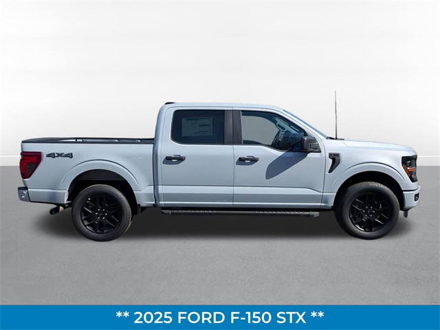 2025 Ford F-150 STX photo 2