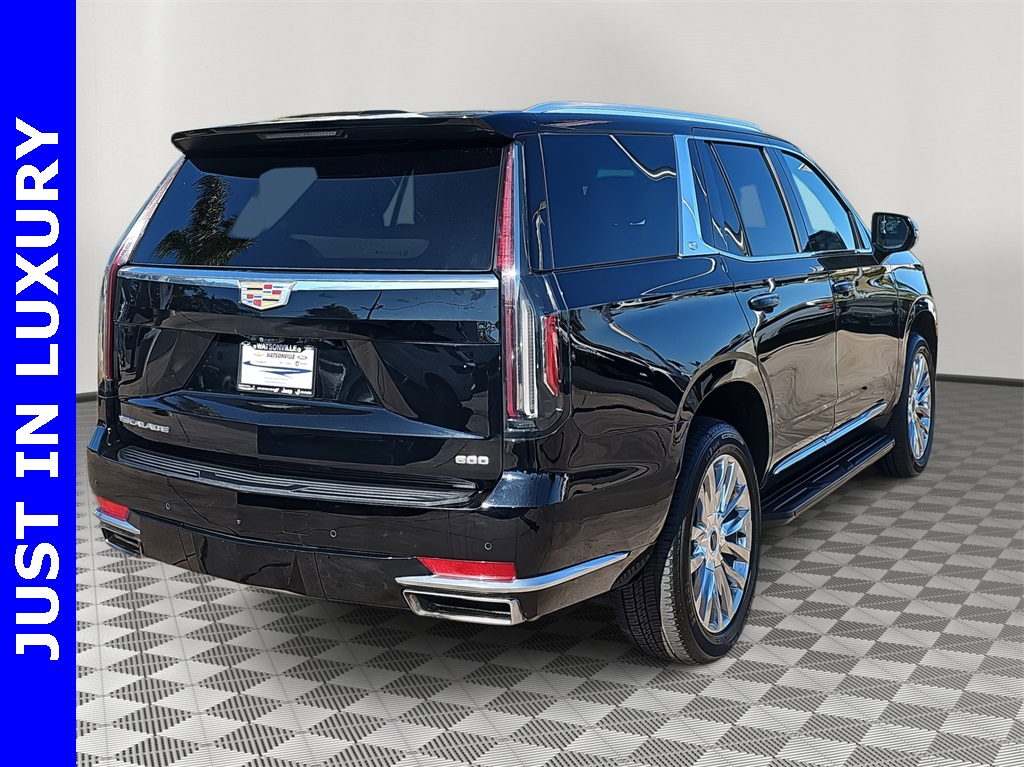 2023 Cadillac Escalade Premium Luxury photo 3