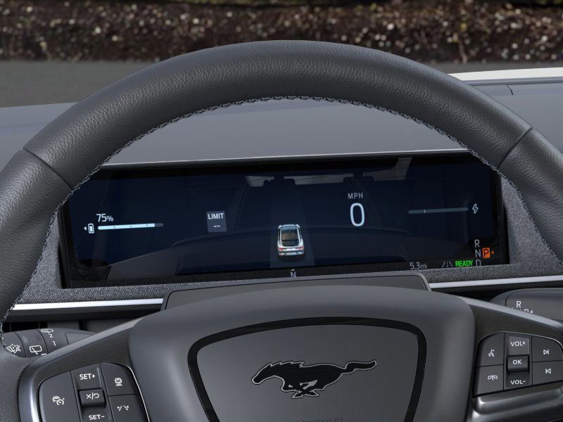 2025 Ford Mustang Mach-E GT photo 11
