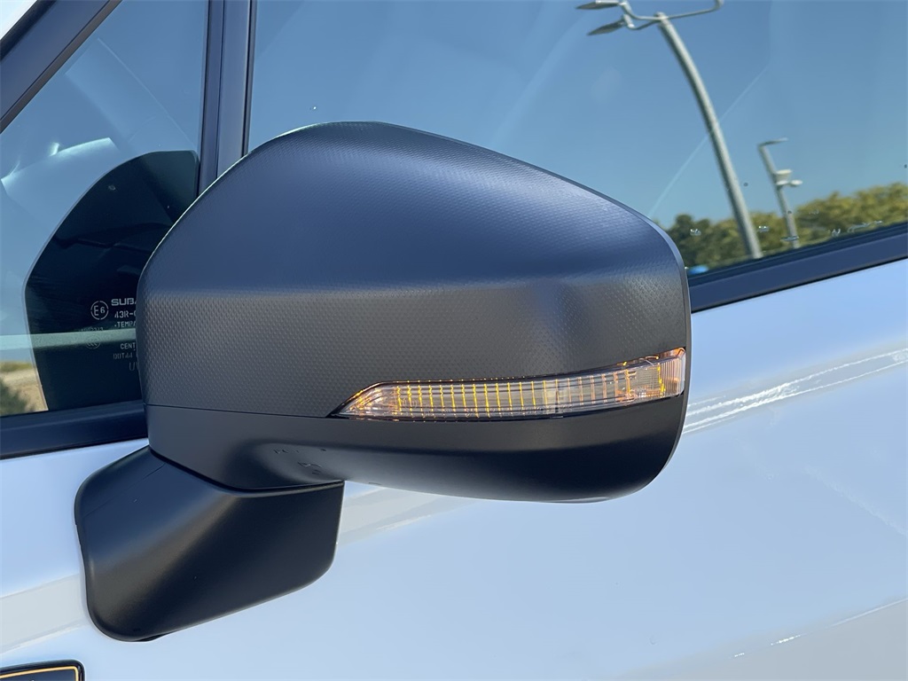 2024 Subaru Forester Wilderness photo 18