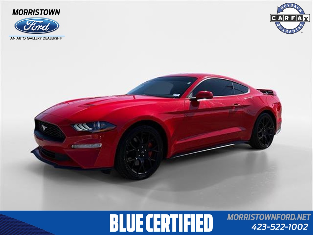 2019 Ford Mustang EcoBoost