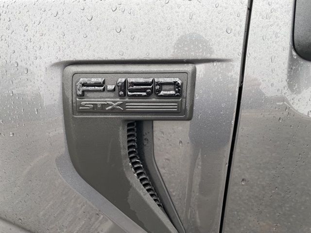 2023 Ford F-150 XL photo 4