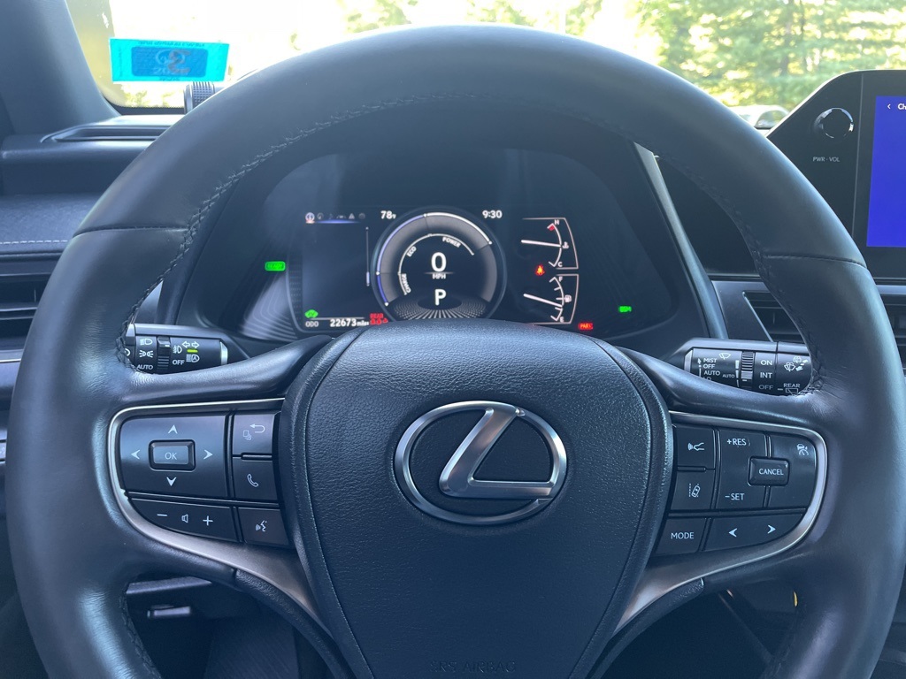 2024 Lexus UX 250h F SPORT Design photo 12
