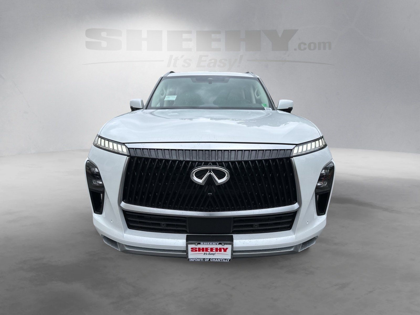 2026 Infiniti QX80 Luxe photo 2