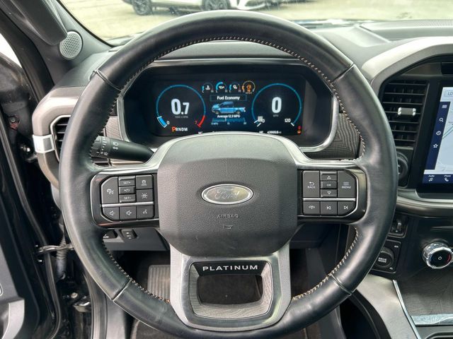 2023 Ford F-150 Platinum photo 20