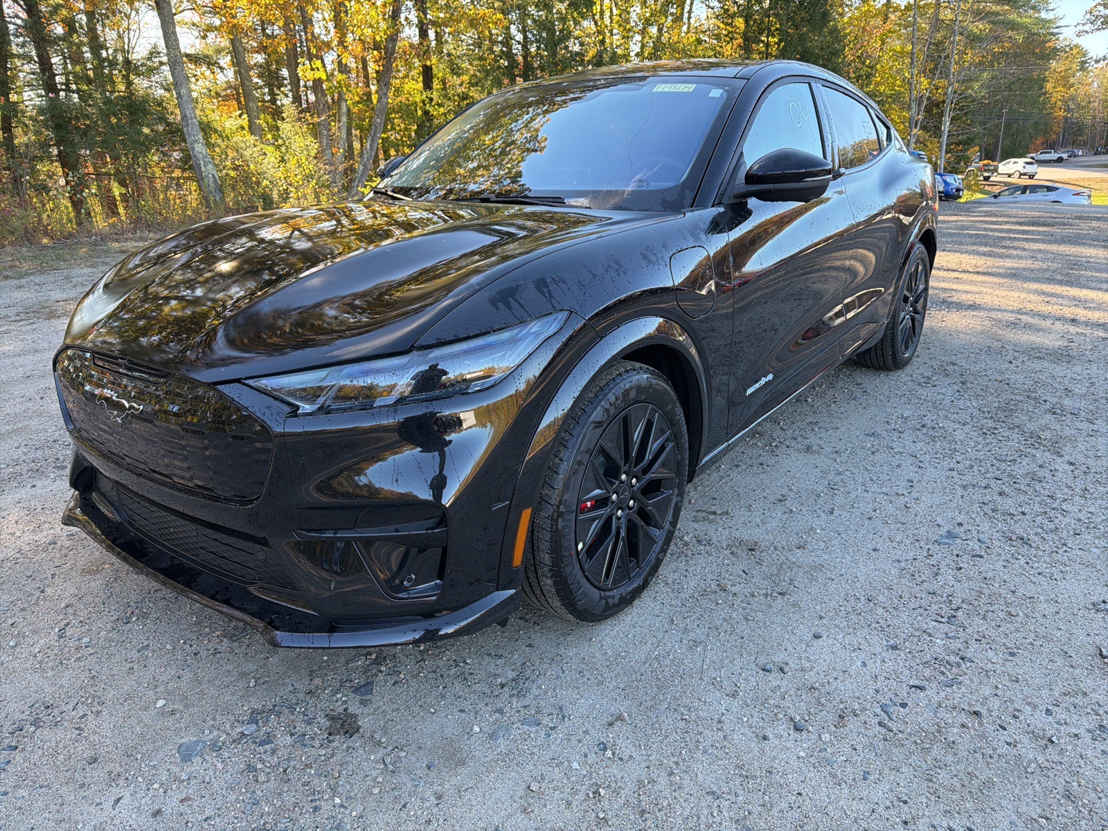 2025 Ford Mustang Mach-E Premium photo 3