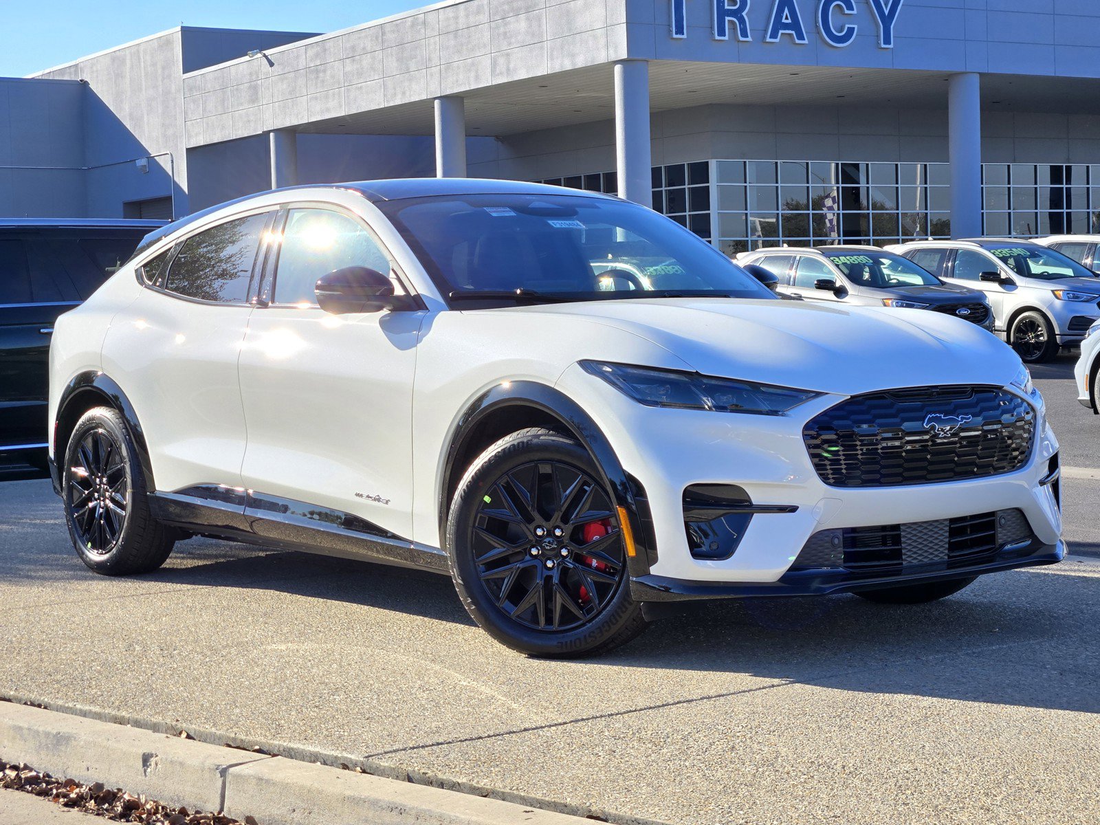 2025 Ford Mustang Mach-E Premium RWD's photo