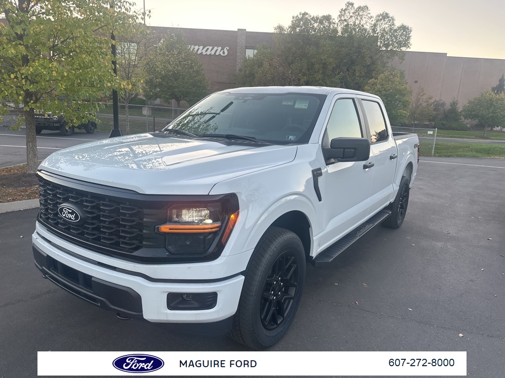 2025 Ford F-150 STX photo 9