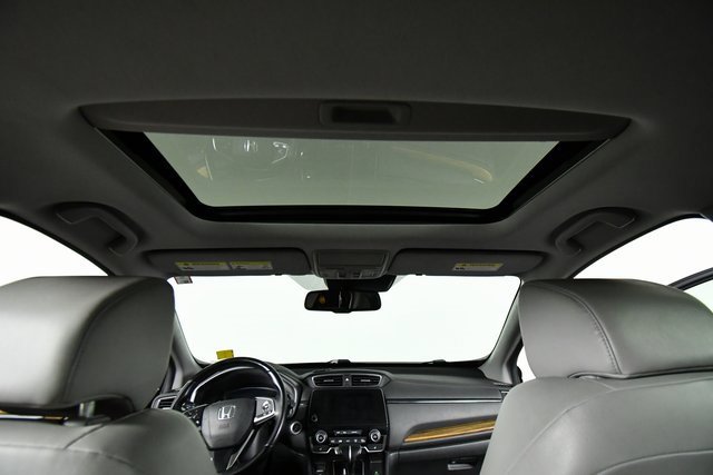 View 25