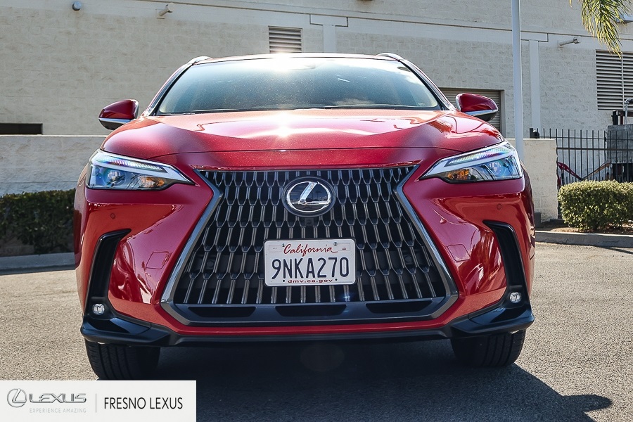 2025 Lexus NX 350h Premium photo 2
