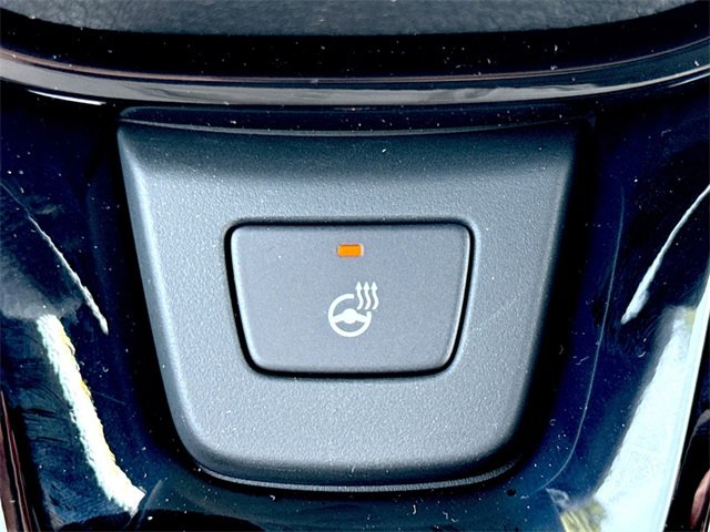 2025 Honda Pilot Black Edition photo 32