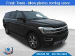 2024 Ford Expedition Limited's photo