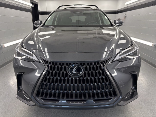 2025 Lexus NX Premium photo 2