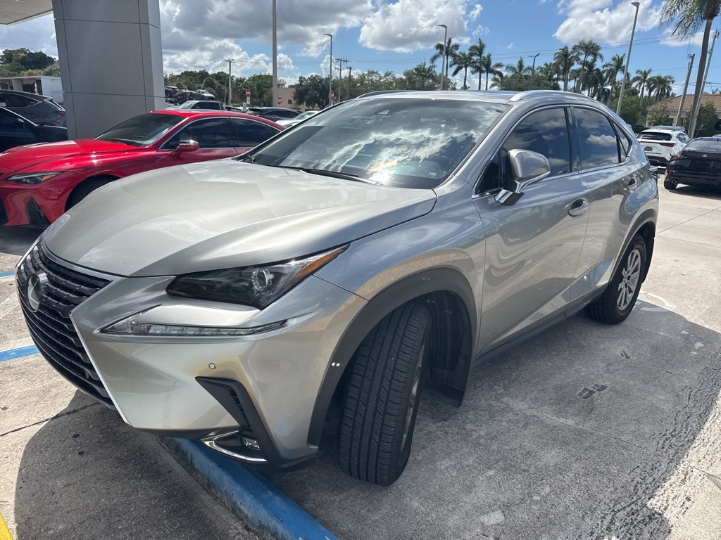 2019 Lexus NX 300 Luxury photo 2