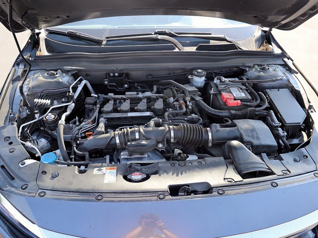 2019 Honda Accord LX 1.5T photo 30