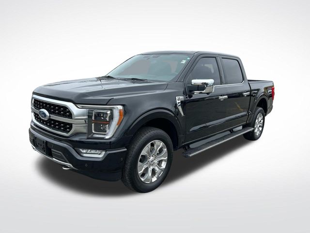 2023 Ford F-150 Platinum photo 8