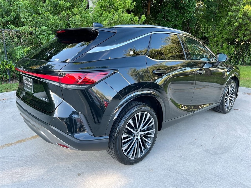2023 Lexus RX 350 photo 6