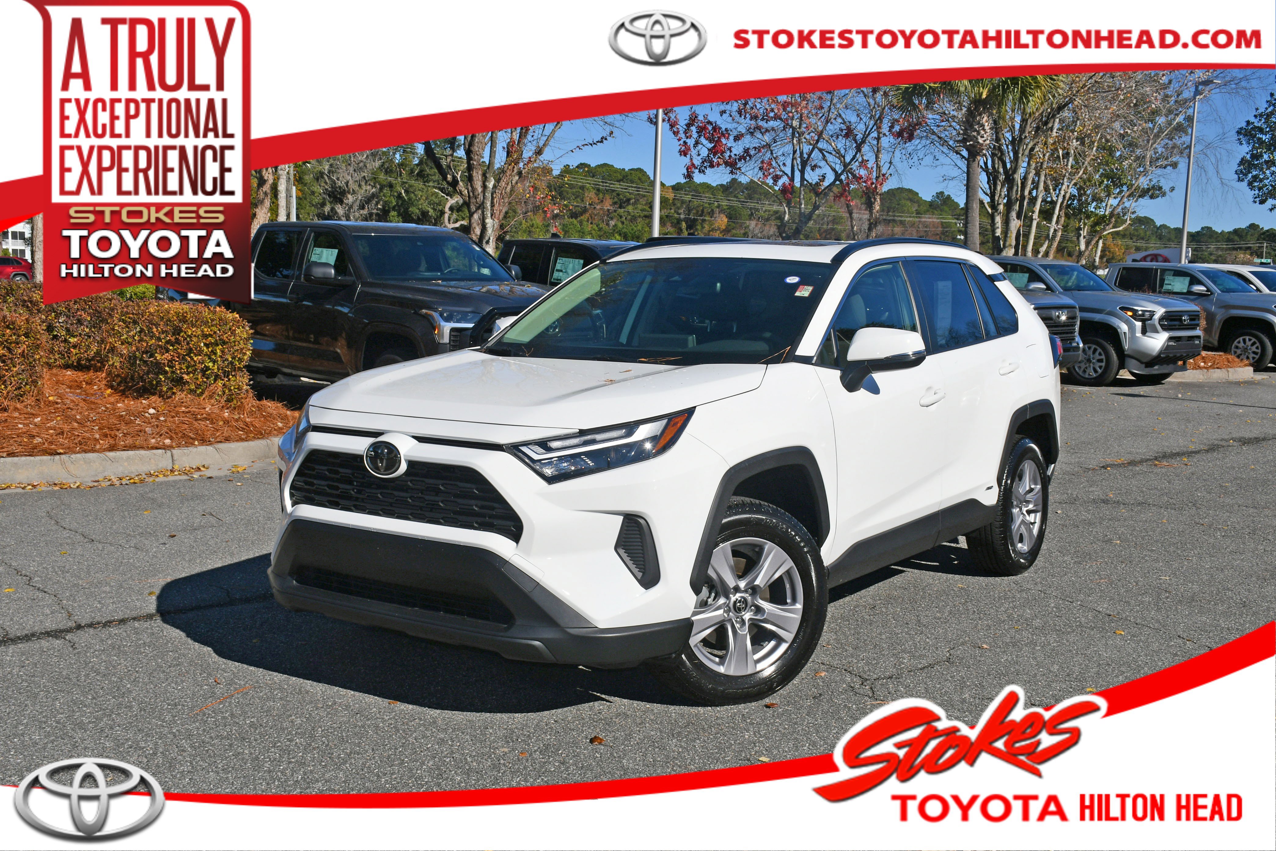 2025 Toyota RAV4 XLE's photo