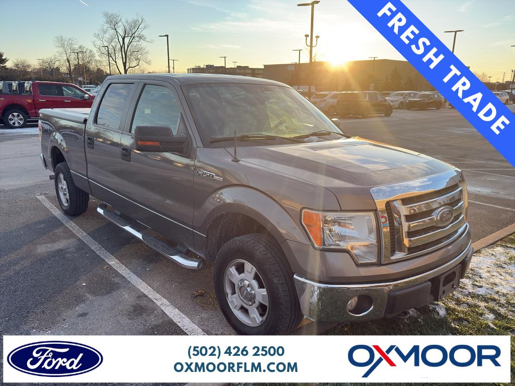 2010 Ford F-150 XL's photo