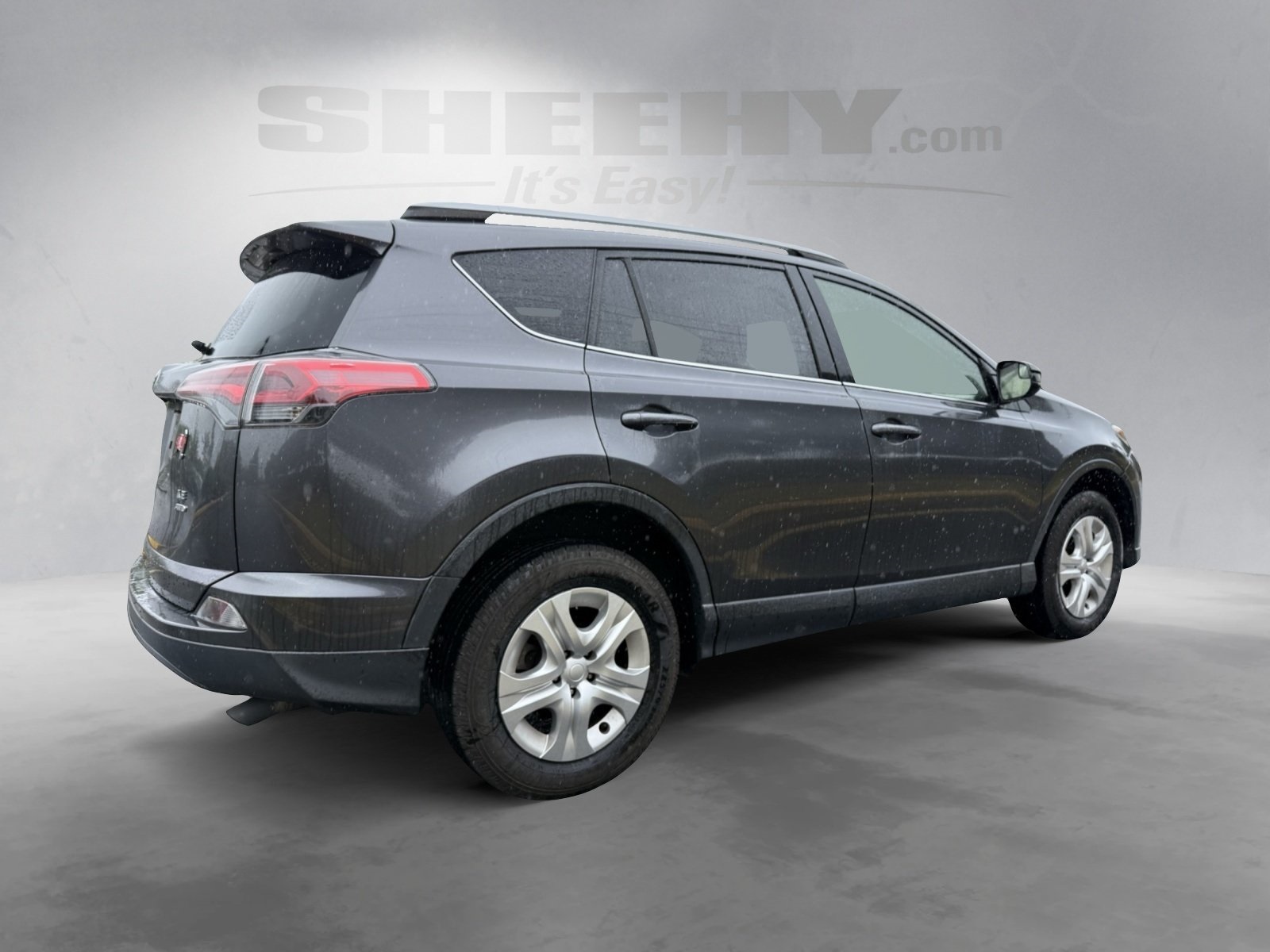 2017 Toyota RAV4 LE photo 4