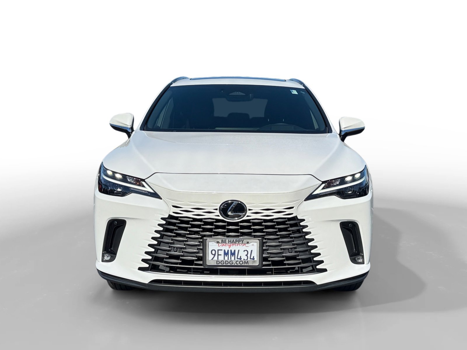 2023 Lexus RX 350 Premium photo 8