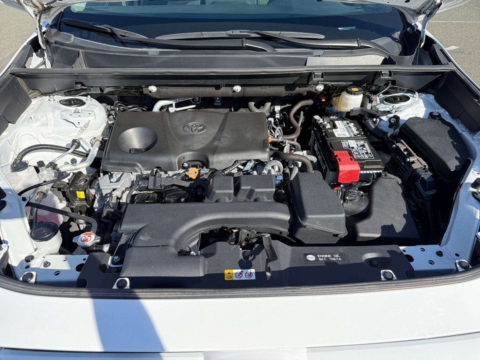 2024 Toyota RAV4 LE photo 19