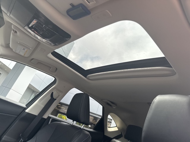 2024 Lexus NX 450h+ Luxury photo 9