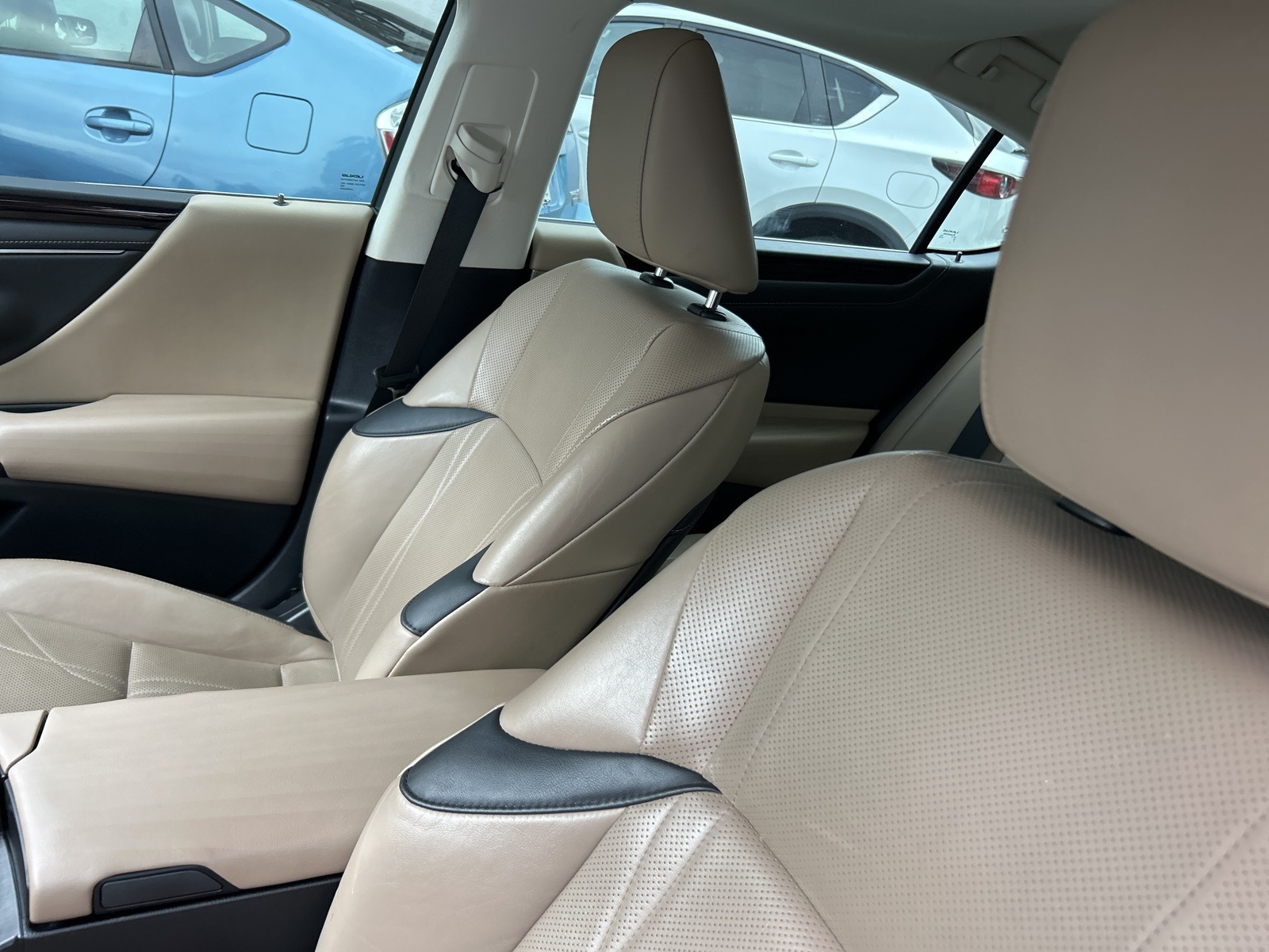 2021 Lexus ES 300h Luxury photo 7