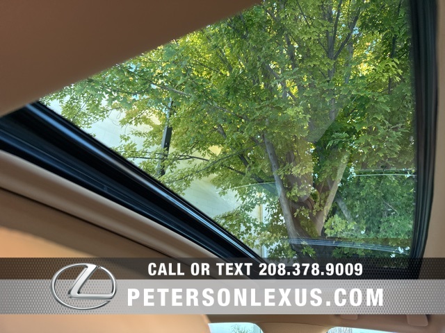 2025 Lexus ES 300h Luxury photo 12