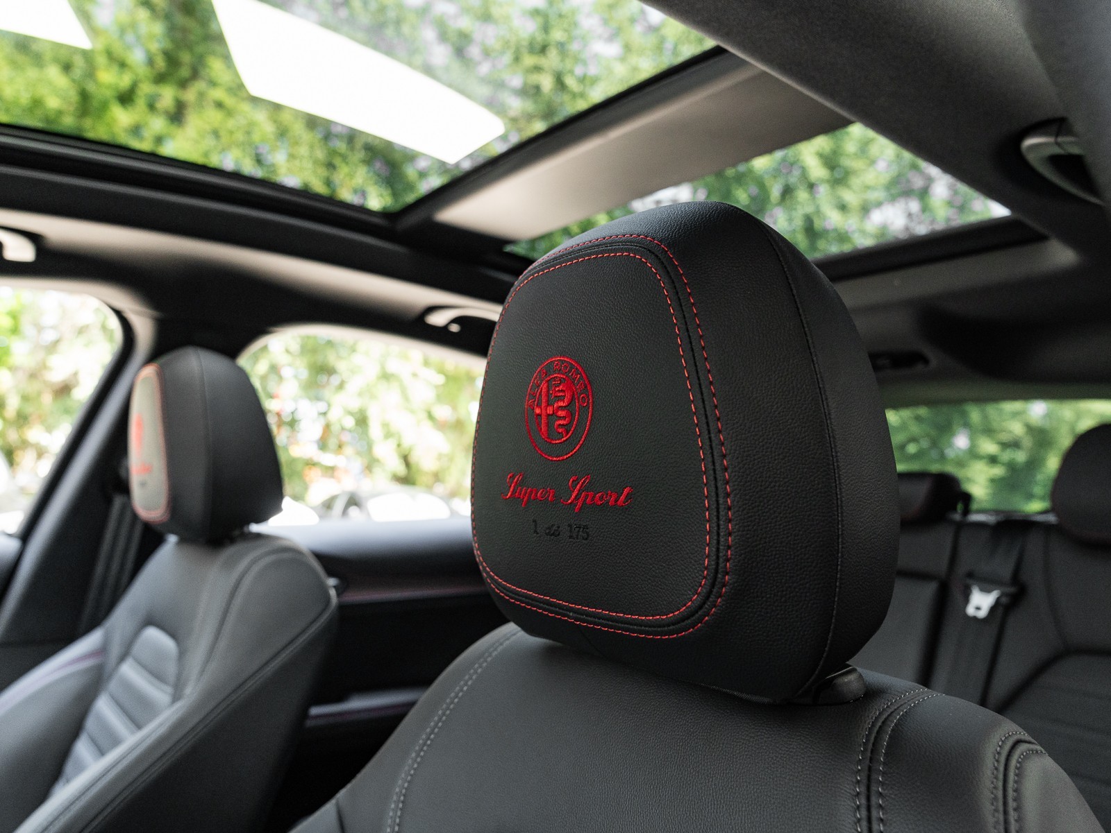 2024 Alfa Romeo Stelvio Quadrifoglio photo 28