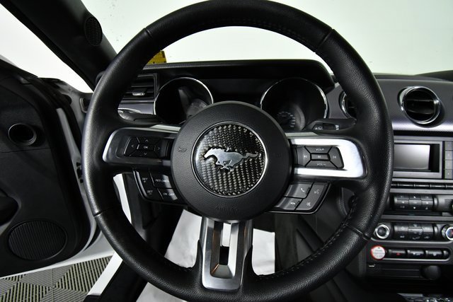 2016 Ford Mustang EcoBoost photo 2