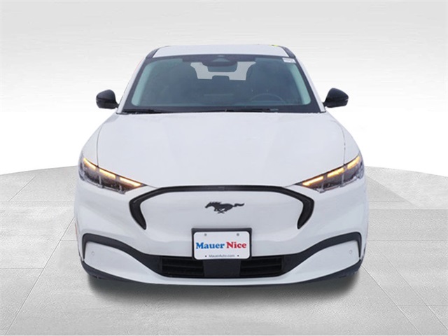 Used 2025 Ford Mustang Mach-E Premium AWD with VIN 3FMTK3SU3SMA28802 for sale in Anoka, Minnesota