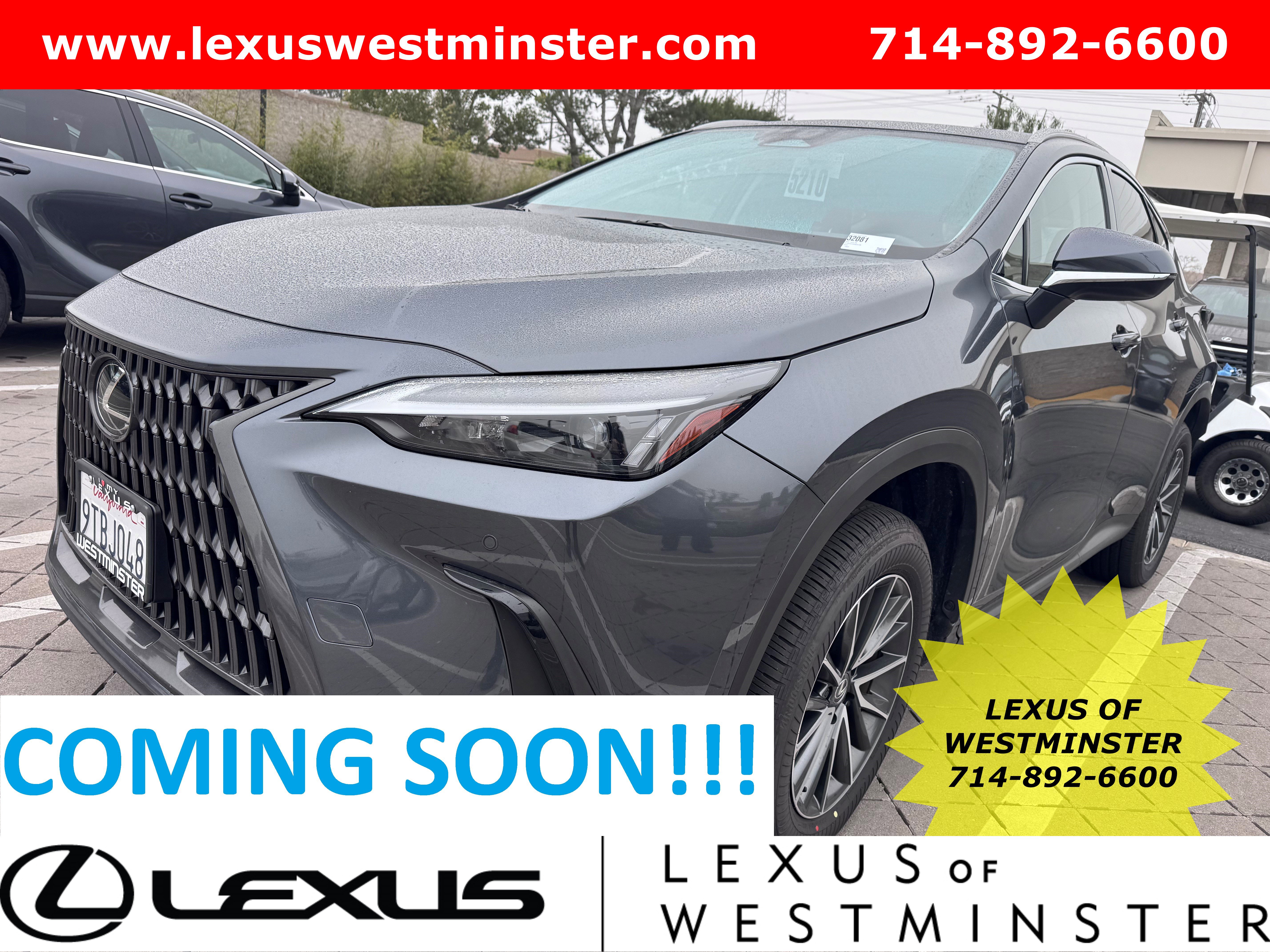2025 Lexus NX Hybrid 350h's photo