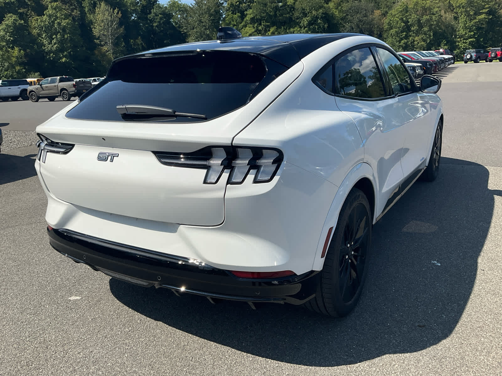 2025 Ford Mustang Mach-E GT photo 3