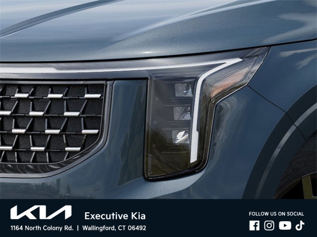 2026 Kia Carnival SX photo 5