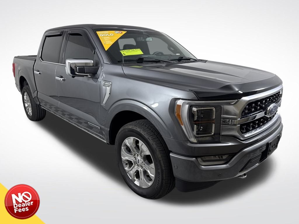 2023 Ford F-150 Platinum's photo