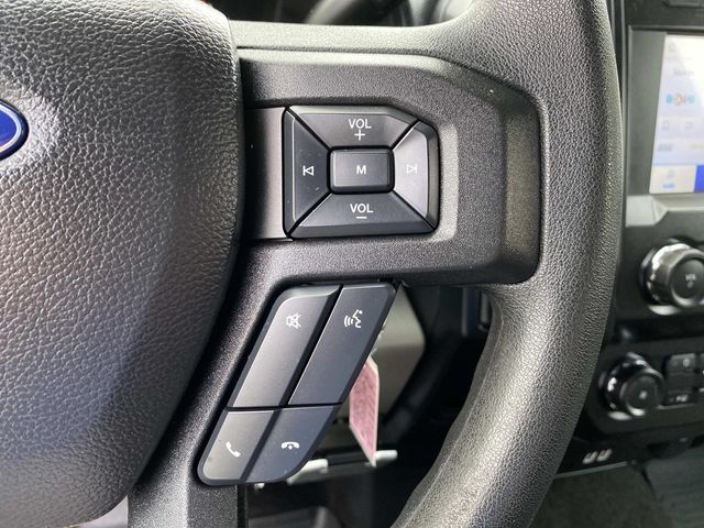2019 Ford F-150 XL photo 10