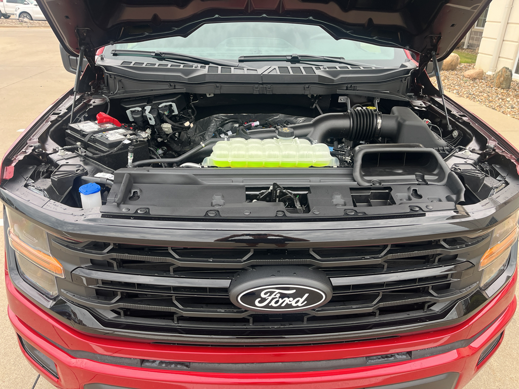 2025 Ford F-150 XLT photo 10