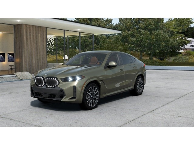 2026 BMW X6