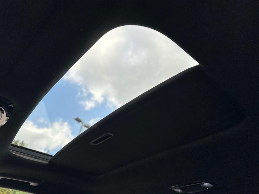 2021 Hyundai Palisade Calligraphy photo 4