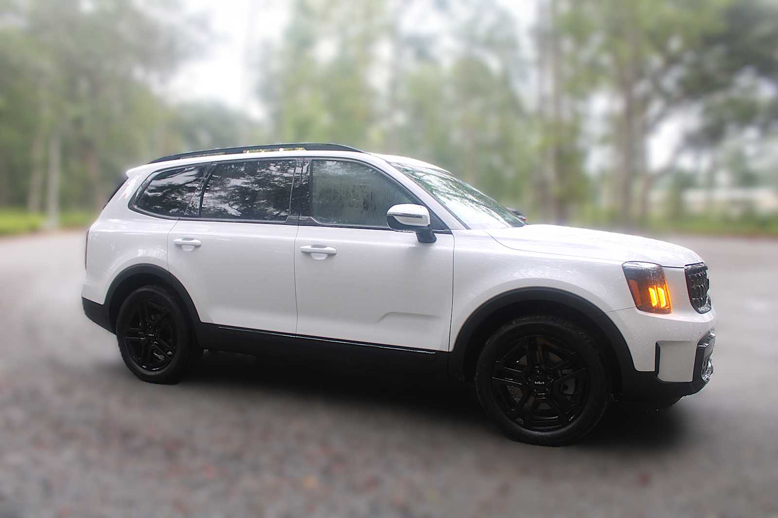 2025 Kia Telluride SX Prestige X-Line photo 14