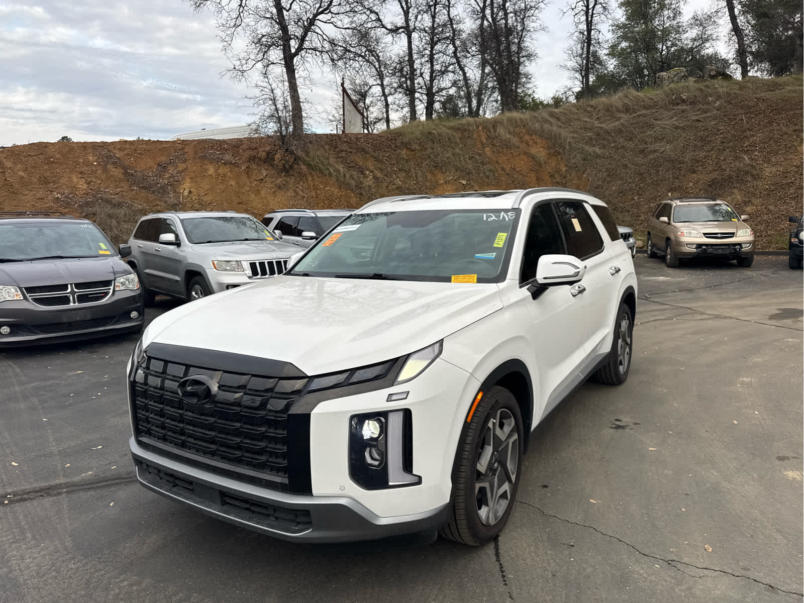 2023 Hyundai Palisade SEL's photo
